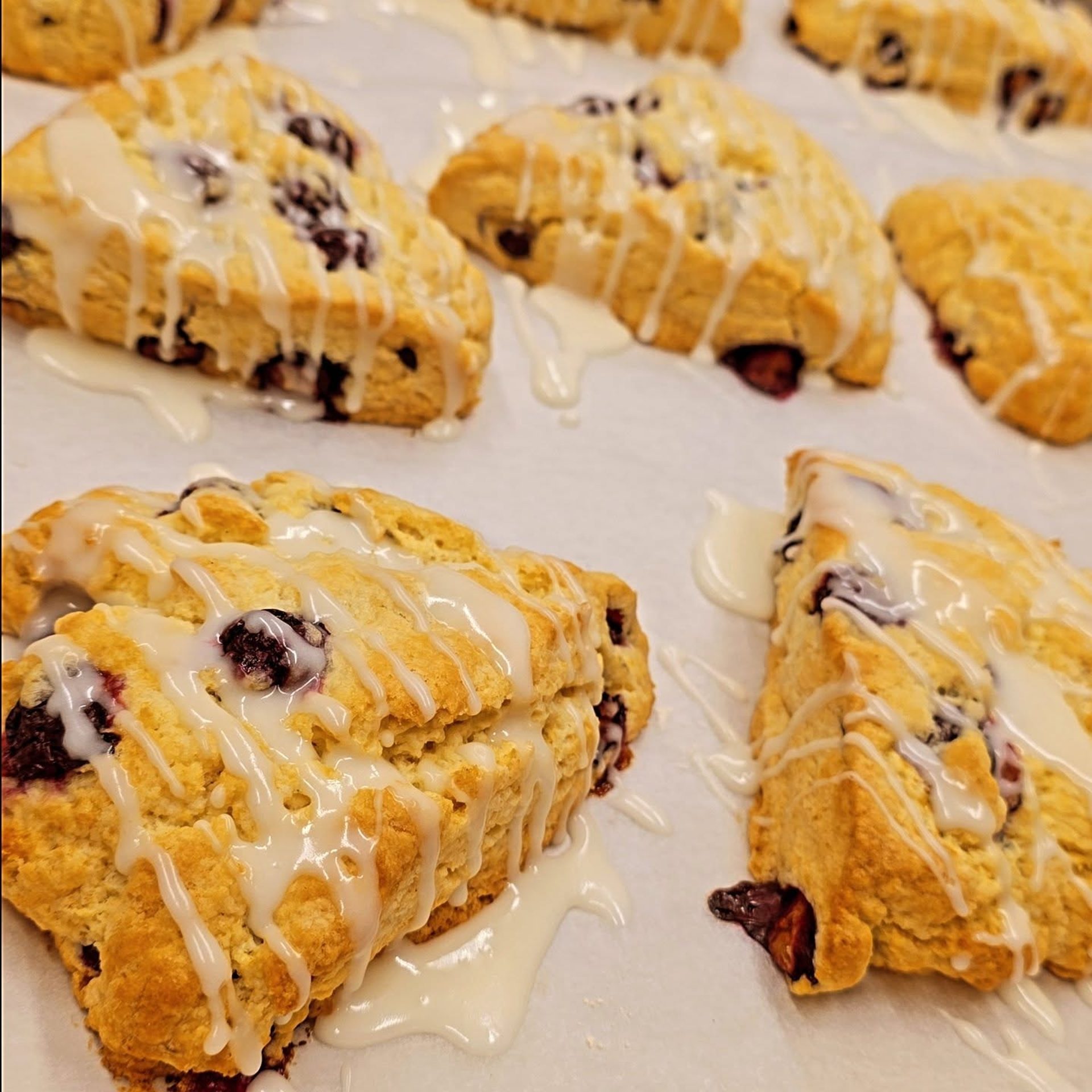 Miners Pizza + Pastry Co. Rewards